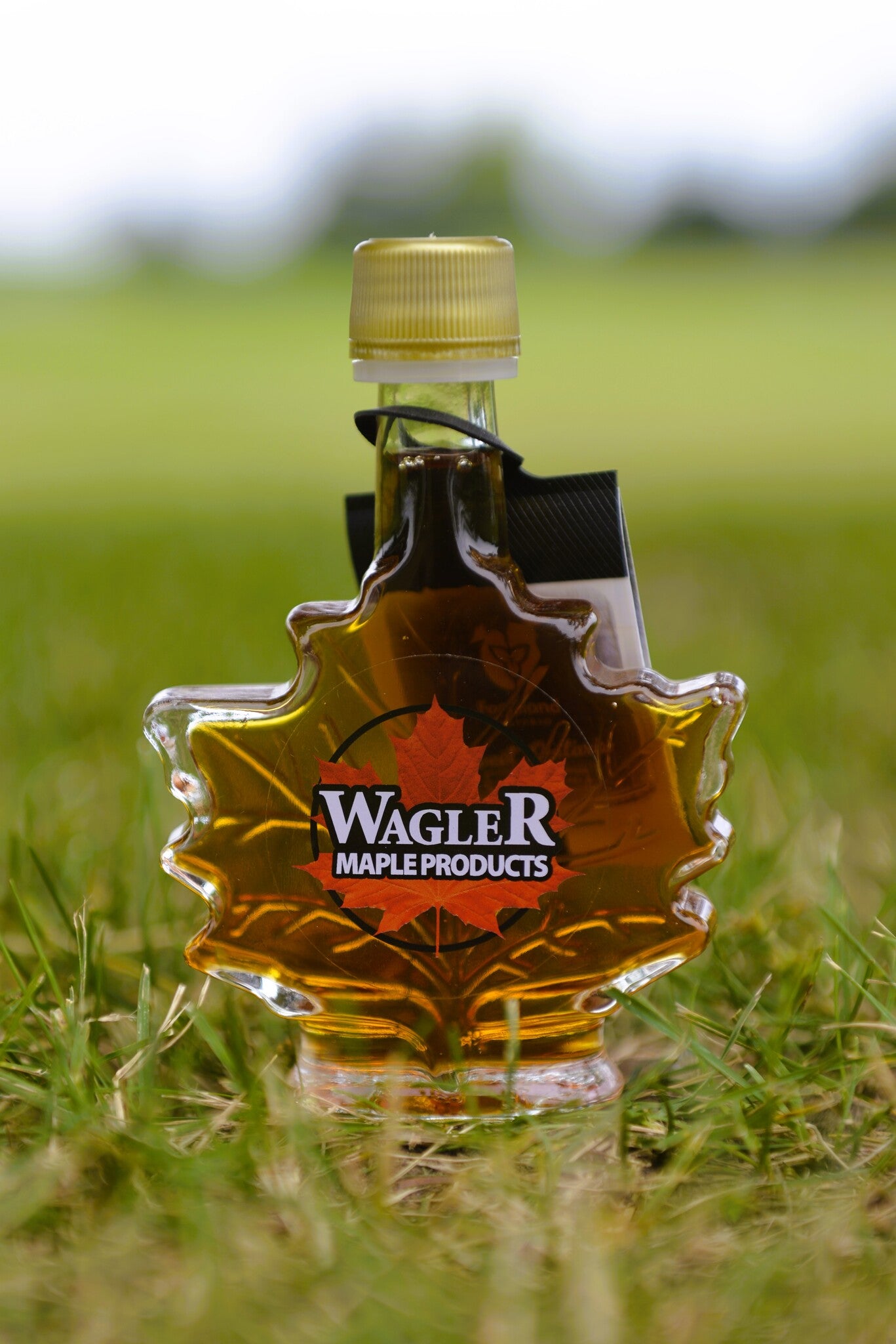 Autumn Maple Leaf Glass Bottle with Pure Canadian Maple Syrup from Ontario Family Farm