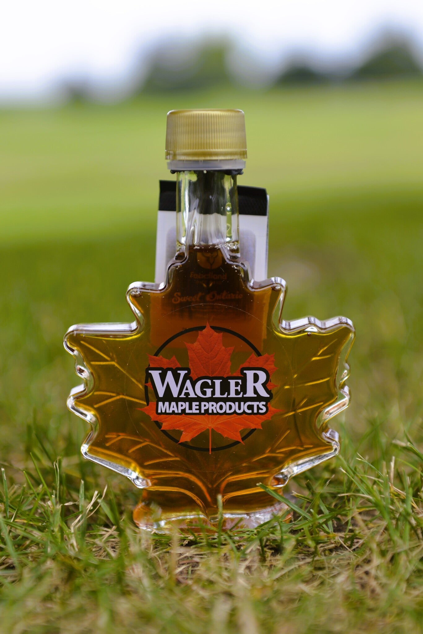 Autumn Maple Leaf Glass Bottle with Pure Canadian Maple Syrup from Ontario Family Farm