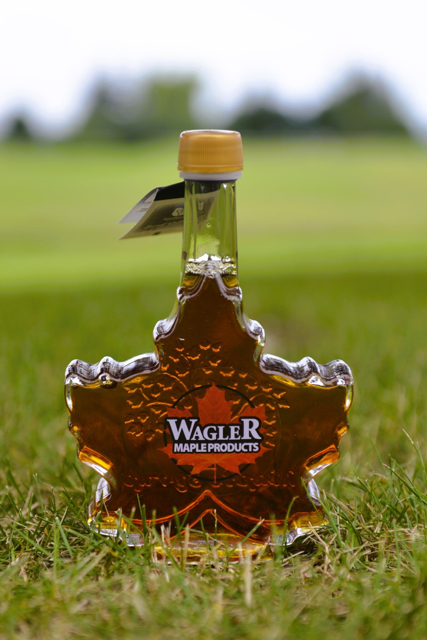 Autumn Maple Leaf Glass Bottle with Pure Canadian Maple Syrup from Ontario Family Farm