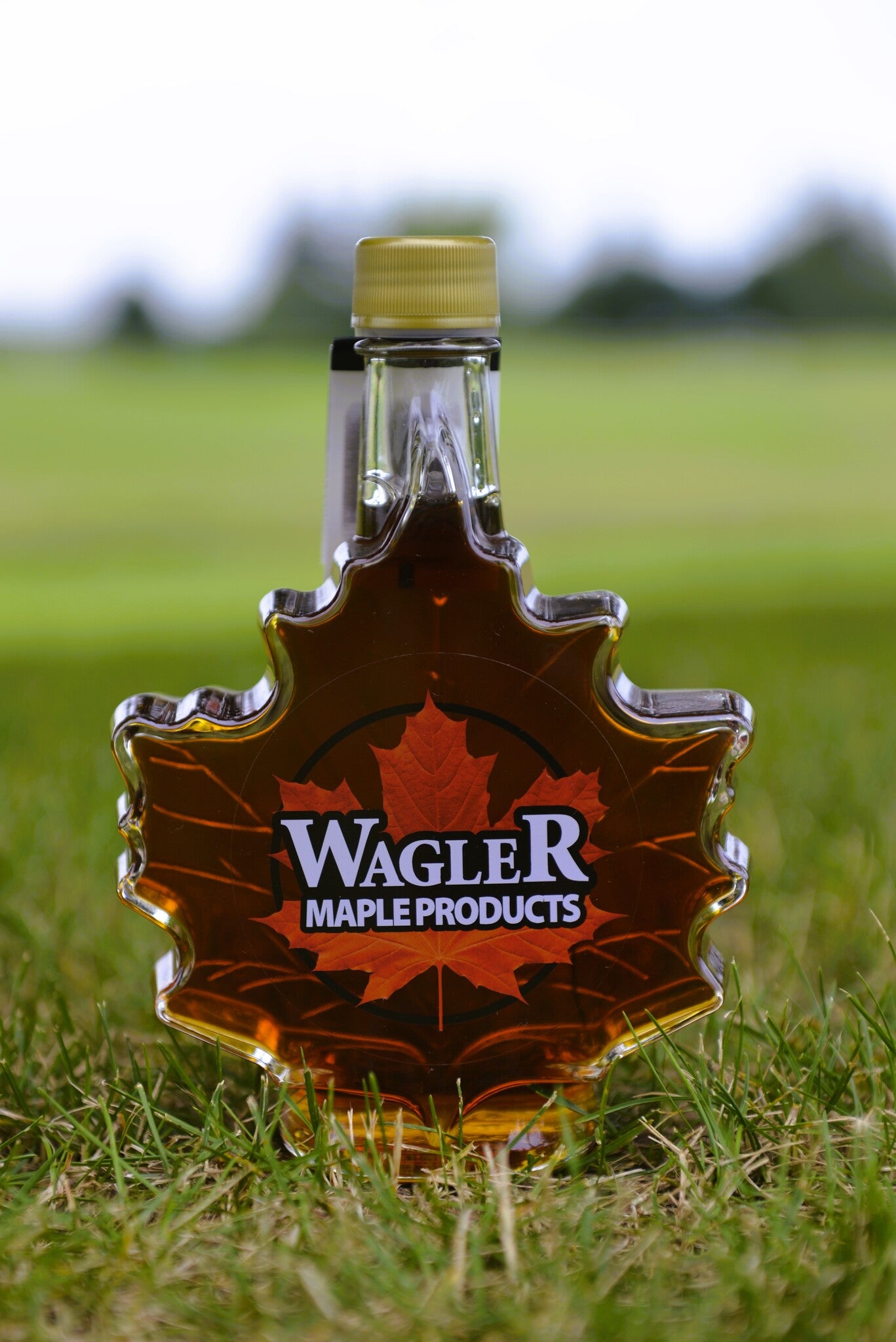 Autumn Maple Leaf Glass Bottle with Pure Canadian Maple Syrup from Ontario Family Farm