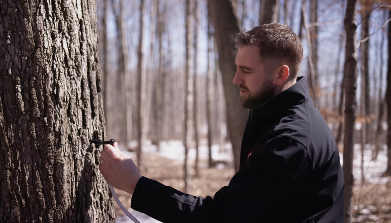 Load video: A video describing the story Wagler Maple Products.