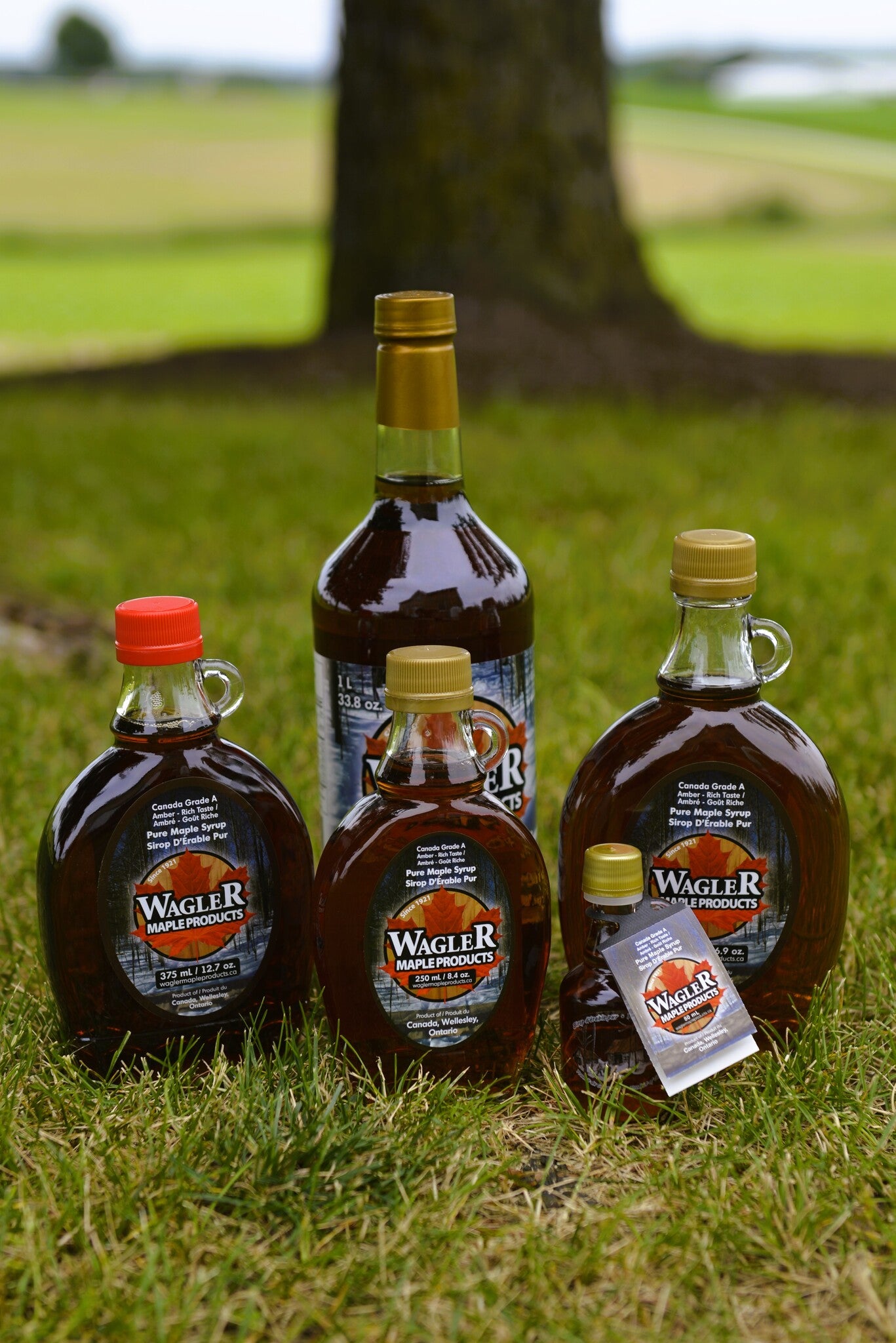 Ontario maple syrup in sealed glass bottles in a variety of sizes